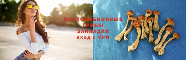 альфа пвп Козловка